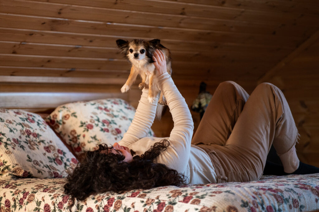 Casal feliz dormindo abraçado a seu cachorro na cama, simbolizando a alegria de dormir com animais de estimação