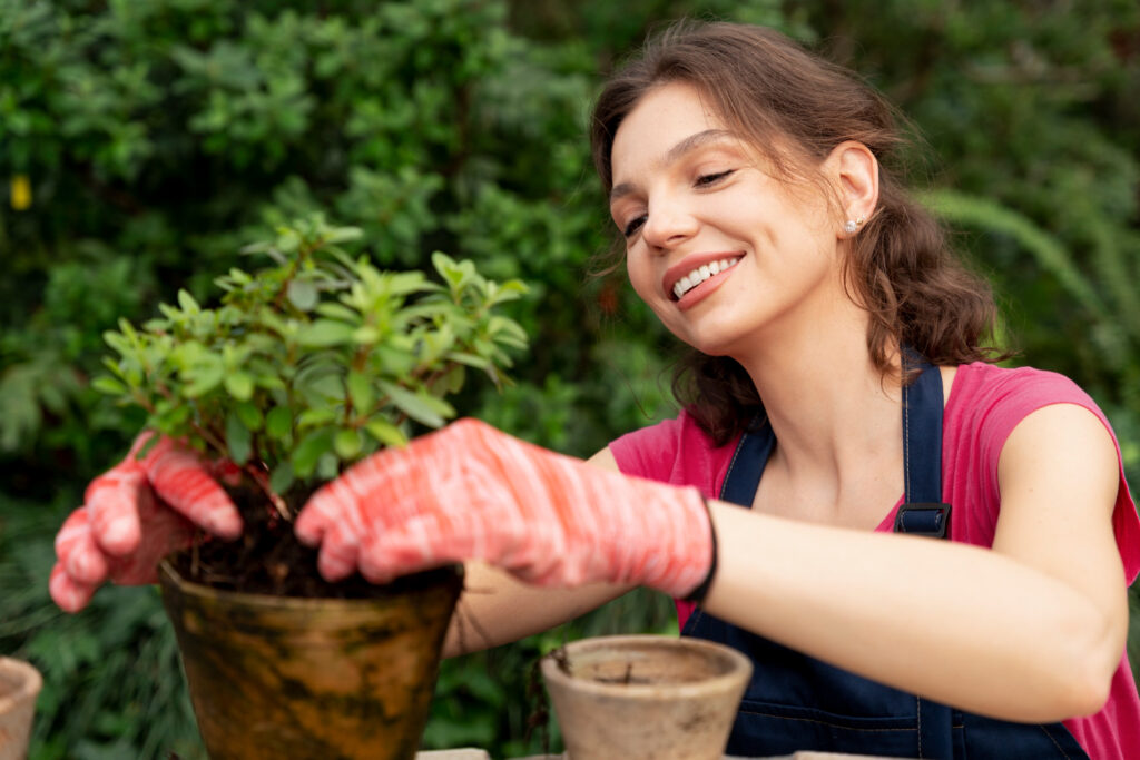 Mãos plantando mudas de alecrim em um pequeno jardim, ilustrando o cultivo de **ervas repelentes