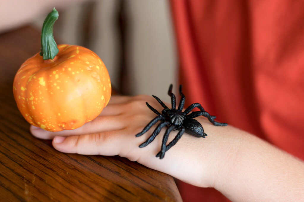 Casca de limão em uma janela bem iluminada, um truque simples para se livrar das aranhas em casa.