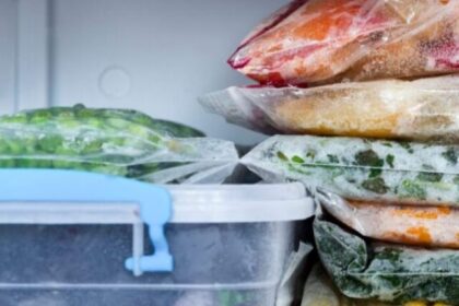 alimentos congelados freezer