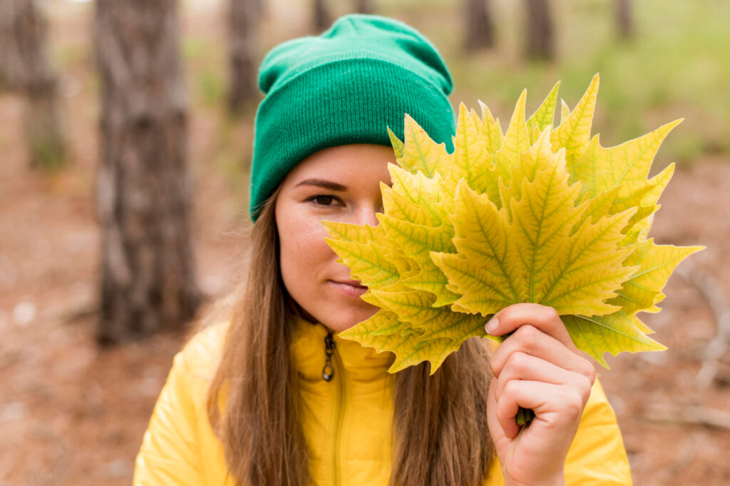 Folhas de louro frescas sobre uma bancada de madeira rústica, a folha que afasta baratas naturalmente