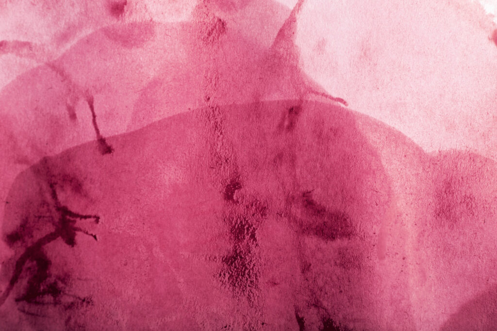 Close-up de uma mancha de vinho na toalha branca, com um pano absorvendo o líquido.